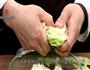 麻辣手撕包菜的做法图解1