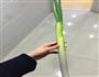 番茄鲫鱼汤的做法图解1
