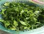 荠菜馄饨的做法图解1