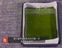 抹茶牛奶糖的做法图解8