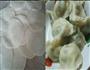 荠菜猪肉水饺的做法图解5