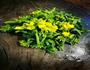 炒油菜花的做法图解1