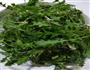 荠菜虾仁水饺的做法图解3