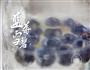 女神节，雪碧的三种高逼格喝法，还你满满少女心的做法图解3