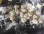 白菜香菇木耳包子的做法图解3
