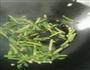 清炒茼蒿的做法图解6