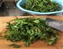 荠菜香菇薯粉饺的做法图解7