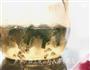 錫紙烤鱈魚的做法图解6