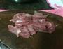 菜心瘦肉粥的做法图解6