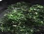 凉拌荠菜的做法图解2