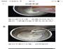 草莓、芒果蛋糕卷的做法图解5