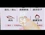 香辣烤鸡翅的做法图解4