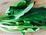 糙米鸡肉菠菜饭团的做法图解2