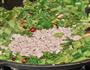 雪里蕻炒肉末的做法图解12