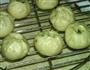 玉米面酸菜小包子的做法图解11