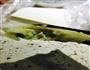 竹笋豆腐煎饺的做法图解4