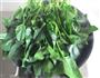 木耳拌菠菜的做法图解4