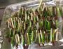 牛肉平菇小葱串的做法图解4