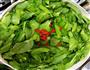 蒜蓉豌豆尖—10分钟快手菜的做法图解1