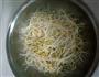麻辣香锅的做法图解4