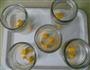 椰香芒果慕斯的做法图解10