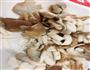 彩椒炒鸡肉平菇的做法图解1