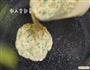 奶酪蔬菜饼  宝宝健康食谱的做法图解12