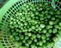 简单的电饭锅豌豆肉沫糯米饭的做法图解3