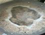 羊肉的做法图解3