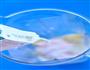 香蕉思慕雪的做法图解3