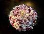 腊味糯米蛋的做法图解5