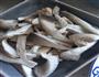 冬阴功汤 汤料版的做法图解4