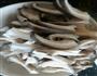 蘑菇炒肉的做法图解2
