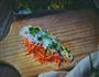 越南春卷 春天的小清新的做法图解23