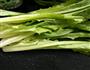 番茄油麦菜的做法图解1