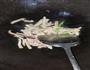 鲍菇鱿鱼瘦肉粥的做法图解3