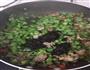 豆角橄榄菜炒肉-懒人版-下饭菜的做法图解4