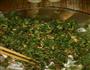 猪肉香菜水饺的做法图解5