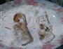 椒盐鸭头的做法图解3