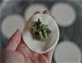 菜汁蔬菜水饺的做法图解7