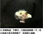 红烧猪蹄的做法图解3