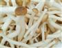 茶树菇枸杞排骨汤的做法图解3