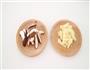 小海豹宝宝与春天里的蔬菜乌冬面的做法图解1