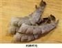 菜零食之软炸大虾的做法图解2
