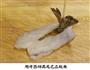 菜零食之软炸大虾的做法图解5