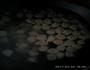 手工自制鸡肉丸子的做法图解6