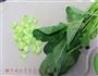 冬笋高汤蔬菜面的做法图解2