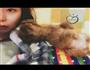 让狗狗不再挑食的营养自制狗粮的做法图解11