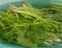 凉拌菠菜的做法图解1
