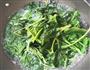 凉拌菠菜的做法图解4